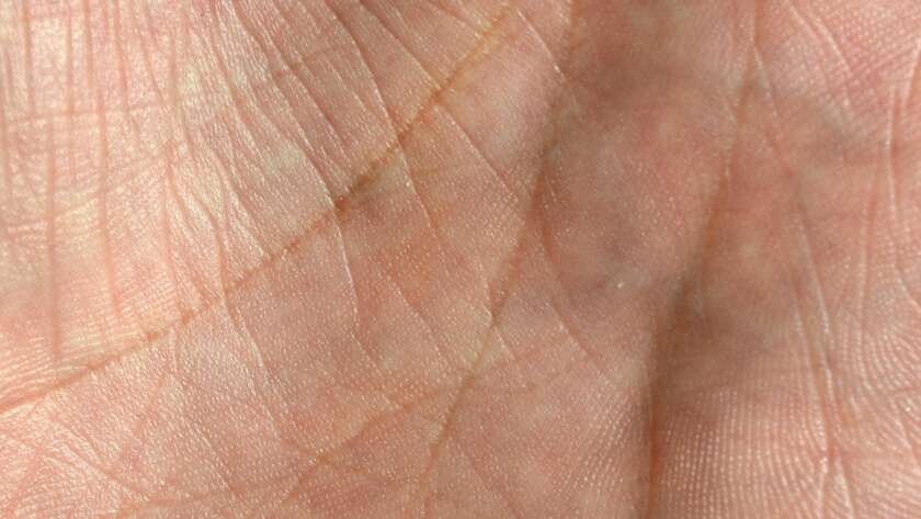 Close up of human hand skin with visible skin texture and lines